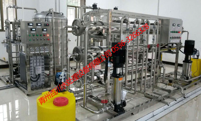 3吨纯化水设备